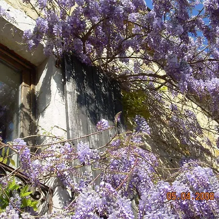 Domaine La Fontaine Du Cade Villa Lagorce  Exterior photo