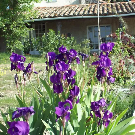 Domaine La Fontaine Du Cade Villa Lagorce  Exterior photo