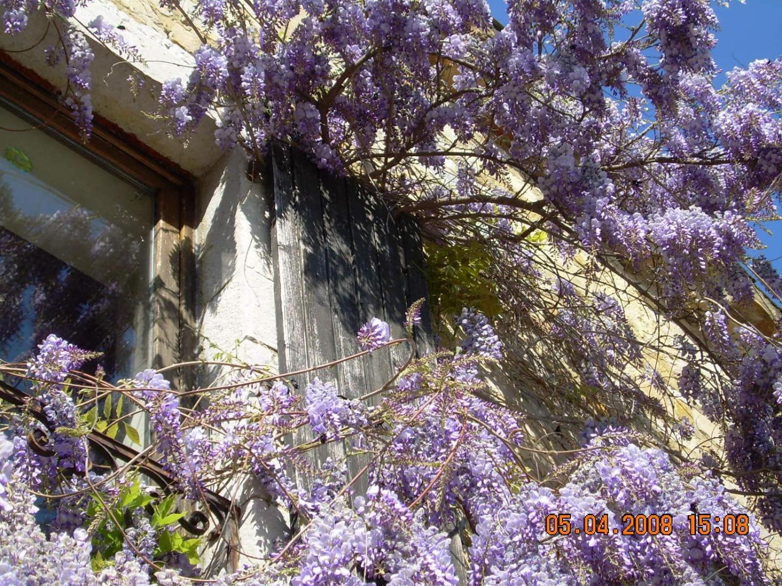 Domaine La Fontaine Du Cade Holiday home