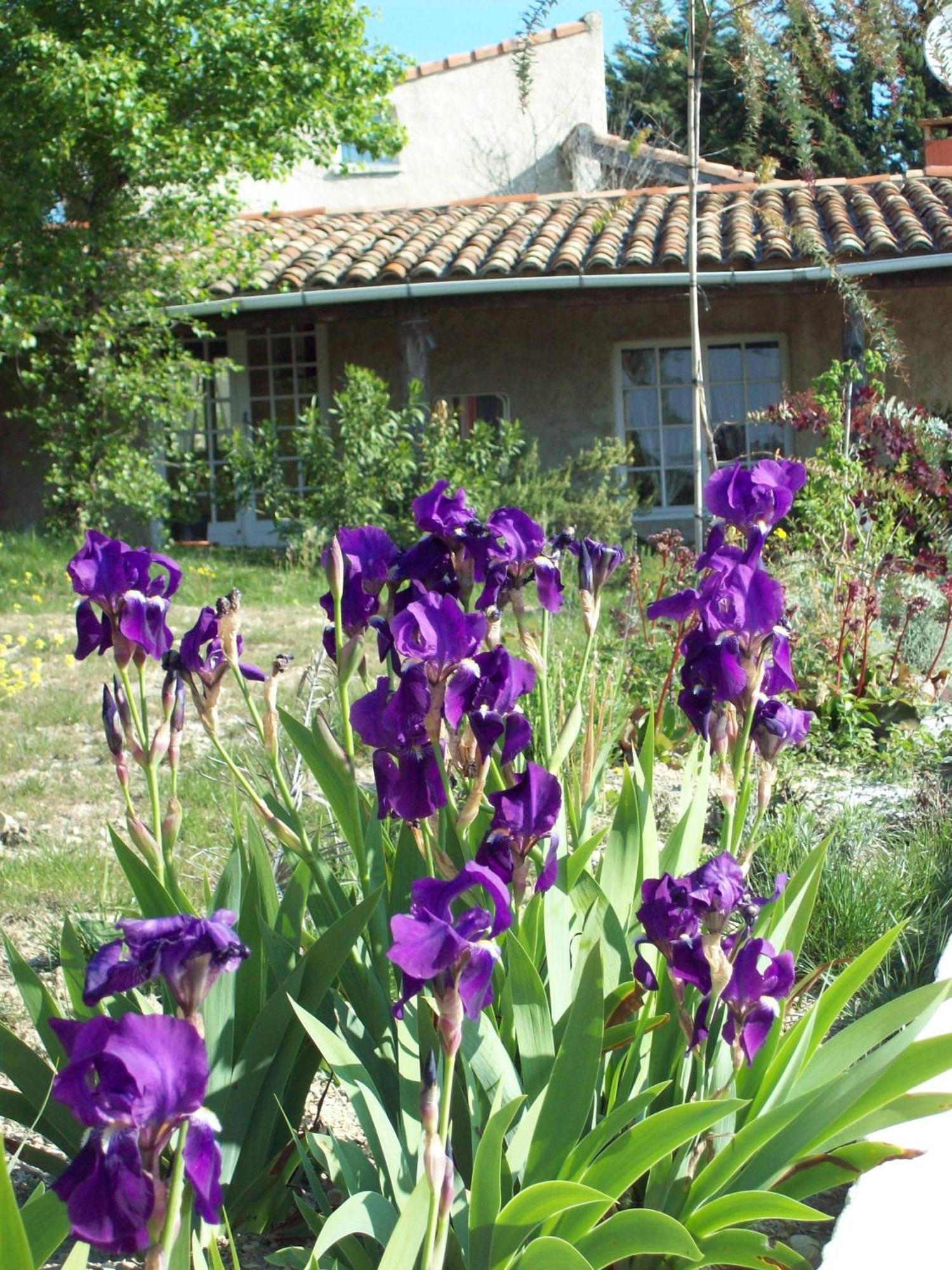 Holiday home Domaine La Fontaine Du Cade Lagorce (Ardeche)