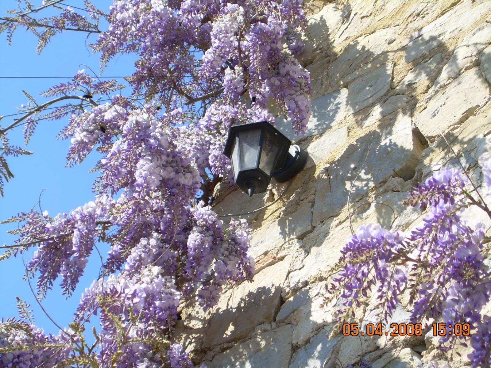 Domaine La Fontaine Du Cade Holiday home